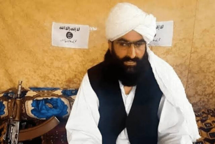 تحریک طالبان پاکستان کے سربراہ نور ولی محسود